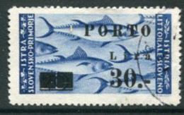 ISTRIA 1946 Postage Due 30 L On 20 L..Type Ia Used.  Michel Porto 19 Ia - Oblitérés