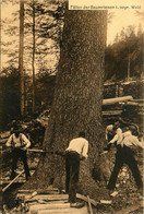 Métier Bois Scierie Bucherons * Fällen Der Baumriesen I. Bayr. Wald * WW1 Guerre 14/18 War - Artisanat