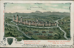 57 SARREBOURG / Siège Des Suédois /  BELLE CARTE COULEUR - Sarrebourg