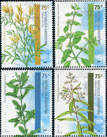 171624 MNH ARGENTINA 2004 PLANTAS AROMATICAS - Used Stamps