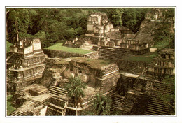 GUATEMALA TIKAL L'ANCIENNE METROPOLE MAYA / CARTE AVEC DESCRIPTIF AU DOS - Guatemala