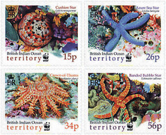 74939 MNH OCEANO INDICO BRITANICO 2001 ESTRELLAS DE MAR - Territorio Británico Del Océano Índico