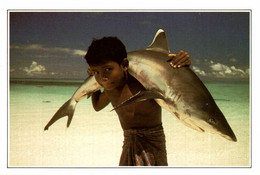 MALDIVES REQUIN A POINTE BLANCHE / CARTE AVEC DESCRIPTIF AU DOS - Maldives