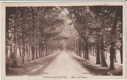 Condat (87 - Haute Vienne)  Allée Des Chênes - Condat Sur Vienne