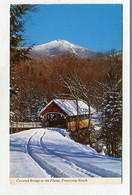 AK 093651 USA - New Hampshire - White Mountains - Franconia Nort - Covered Bridge - White Mountains