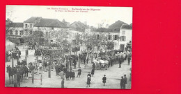 RABASTENS De BIGORRE La Place Du Marché Aux Chevaux (Despouey) Hautes Pyrénées (65) - Rabastens De Bigorre