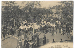 49    ANGERS  PLACE  NEY  LE  MARCHE  AUX  CHEVAUX - Angers