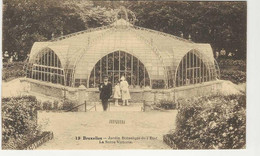 CPA-BRUXELLES " Jardin Botanique De L'Etat-la Serre Victoria " - Forêts, Parcs, Jardins