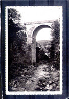 43. Montfaucon En Velay. Pont De La Vache. Cpsm Petit Format - Montfaucon En Velay