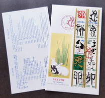 Japan Year Of The Rabbit 2010 Calligraphy New Year Lunar Chinese Zodiac Painting (FDC) *embossed *unusual - Storia Postale