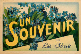 La Sone * Un Souvenir Du Village * Fleurs - Other & Unclassified