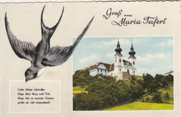 C339) GRUSS Aus MARIA TAFERL Mit Schwalbe ALT ! 7.8.1967 - Maria Taferl