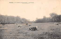 Bonnétable             72        Le Château. Les Prairies  - Vaches -              (voir Scan) - Bonnetable