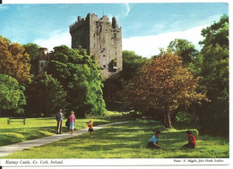 BLARNEY CASTLE - CO. CORK IRELAND - PUBLISHED BY JOHN HINDE - - Cork