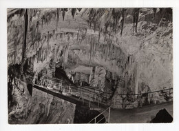 Delcampe - 1958. YUGOSLAVIA,SLOVENIA,POSTOJNA CAVE,ILLUSTRATED POSTCARD,USED - Jugoslawien