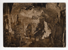 Delcampe - 1954. YUGOSLAVIA,SLOVENIA,POSTOJNA CAVE,ILLUSTRATED POSTCARD,USED - Jugoslawien
