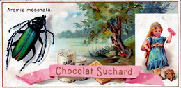 CHROMO CHOCOLAT SUCHARD AROMIA MOSCHATA - Suchard