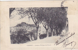 Cpa -84 - Cadenet - Avenue Philippe De Girard -edi Ferrand Ollivier - Cadenet