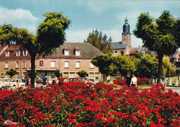 61, Putanges Pont Ecrepin, Hôtel Du Lion Vert, L'Eglise - Putanges