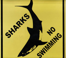 Sharks No Swimming Targa In Latta 24,5 X 24,5 Cm. - Tin Signs (after1960)