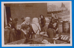 U.K. - Scotland - Shetland - Lerwick - Herring Curing - Vintage Postcard - Shetland