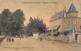 PEYREHORADE (Landes) - Avenue De La Gare - Carte Toilée Couleurs - Peyrehorade