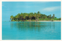 MALDIVES - CARTOLINA FG SPEDITA NEL 1996 - COCONUT PALMS SET IN COOL AQUAMARINE - Maldives