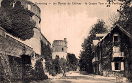 BEAURAING / LES RUINES DU CHATEAU - LA GROSSE TOUR ET LE PAVILLON - Beauraing