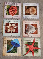 ROMÂNIA MUSHROOMS SET USED - Used Stamps