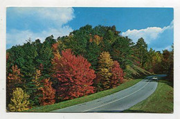 AK 093843 USA - Tennessee - Highway 73 In The Great Smokey Mountains National Park - Smokey Mountains