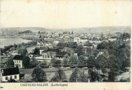 Château Salins * Vue Générale Du Village - Chateau Salins