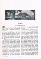 A102 1324-4 Salzburg Hohensalzburg Untersberg Hellbrunn Artikel / Bilder 1905 !! - Sonstige & Ohne Zuordnung