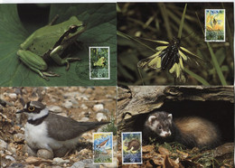 Liechtenstein # 967-70 1989 WWF Bedrohte Tierarten Maximumkarten 4 Werte Komplette Serie - Covers & Documents