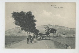 AFRIQUE - EGYPTE - ASSIOUT - Avenue Du Temple - Assioet