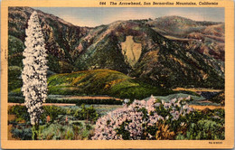 California San Bernardino Moutains The Arrowhead Curteich - San Bernardino