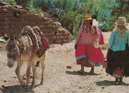 PERU' - ANCASH - CARTOLINA FG SPEDITA NEL 1989 - CAMPESINAS - ASINO - Pérou