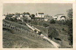 Challonges * Vue Générale Sur La Colonie De Vacances Du Crédit Lyonnais Et La Route - Other & Unclassified