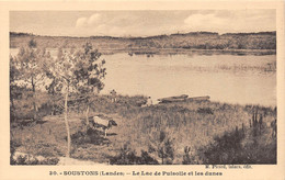 SOUSTONS (Landes) - Le Lac De Puisolle Et Les Dunes - Chasseur, Vache - Soustons