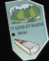 MAGNET N° 77 SEINE-ET-MARNE - Magnets