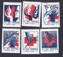Italy Poster Stamps Vignette  RED CROSS - Erinnophilie