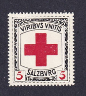 Austria Poster Stamp  Vignette  RED CROSS  SALZBURG - Erinnophilie