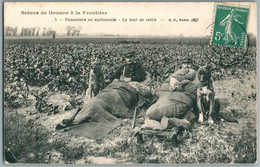 DOUANIERS EN EMBUSCADE AVEC CHIENS JUIN 1910 TOUR DE VEILLE SCENES DE DOUANE A LA FRONTIERE EDITION B.F PARIS - Douane