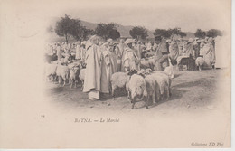 CPA Précurseur Algérie - Batna - Le Marché (très Belle Animation Avec Moutons) - Batna