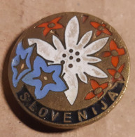 Moutain Flower Edelweiss Mountaineering, Alpinism Flowers Slovenia Pin - Alpinisme