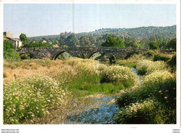 IDANHA A VELHA (BEIRA BAIXA) - PONTE DE ORIGEM ROMANA SOBRE O RIO PONSUL - Castelo Branco