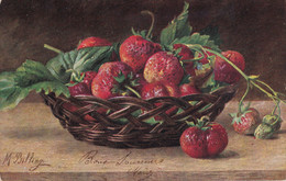 ILLUSTRATEUR(BILLING) FRAISE - Billing, M.