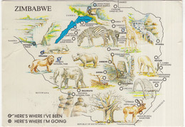 Around Zimbabwe - Wildlife - Simbabwe