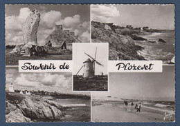 Souvenir De PLOZEVET -  Format Cpm - Plozevet