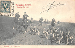 ITALIE - Campagna ROMANA - ROME - Lot De 5 Cartes De Chasse à Courre, Chiens De Chasse, Chevaux, Chasseurs, Vénerie - Sammlungen & Lose