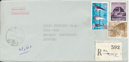 Egypt Registered Cover Sent To Denmark 8-8-1981 - Briefe U. Dokumente